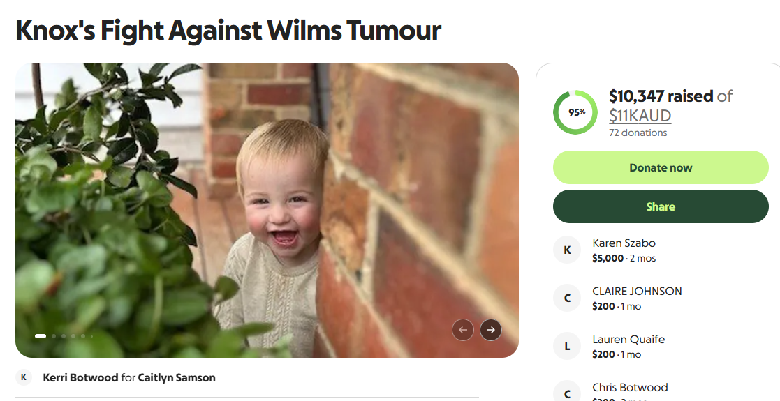 GoFundMe campaign page for Knox's Fight Against Wilms Tumour